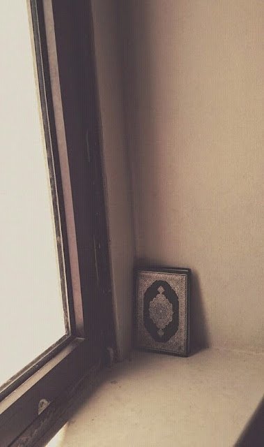 "Kitaplar, diyorum;
Bir kenarda süs olarak durmamalı.!
Çokça okunmalı.."