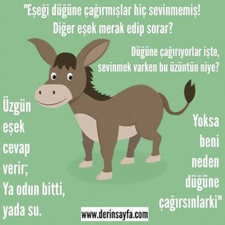“Eşeği düğüne çağırmışlar hiç sevinmemiş! Diğer eşek merak edip sorar? Düğüne çağırıyorlar işte, sevinmek varken..”