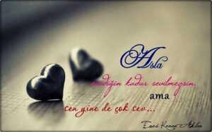 Asla sevdiğin kadar sevilmezsin, ama sen yine de çok sev.
Enes Kenan Aklan