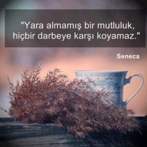 Yara almamışsa bir mutluluk, hiçbir darbeye karşı koyamaz. Lucius Seneca