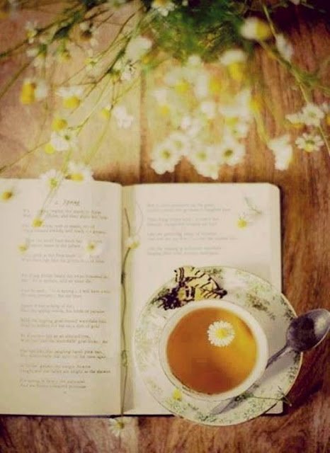 Kitaplar, dünya hayatının sessiz arkadaşlarıdır.
Yoldaşlıkları hakikaten mezara kadardır…

İbrahim Tenekeci