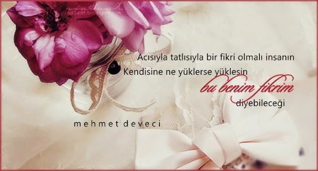 Acısıyla tatlısıyla bir fikri olmalı insanın.
Kendisine ne yüklerse yüklesin “bu benim fikrim”
diyebileceği…
Mehmet Deveci
