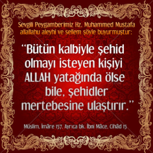 “Bütün kalbiyle şehid olmayı isteyen kişiyi ALLAH, yatağında ölse bile, şehidler mertebesine ulaştırır.” Hadis