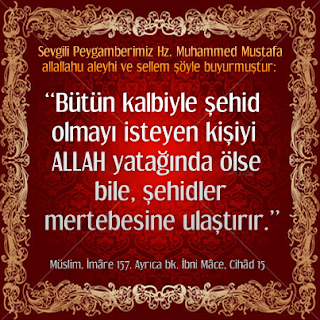 “Bütün kalbiyle şehid olmayı isteyen kişiyi ALLAH, yatağında ölse bile, şehidler mertebesine ulaştırır.” Hadis