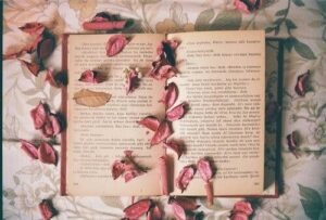 " Okumayı bıraktığın gün sonbahardır,
ertesi gün cehaletin kışı başlar.."