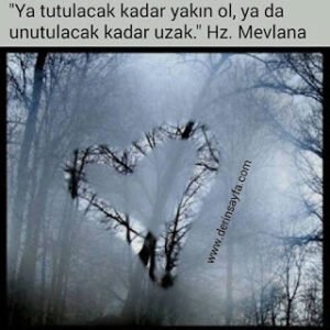 Ya tutulacak kadar yakın ol, ya da unutulacak kadar uzak. Hz. Mevlana
