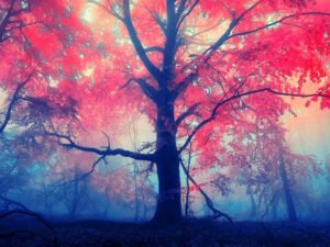 Sakinleştirici olarak
''VARDIR BİR HAYIR !''
kullanıyorum..