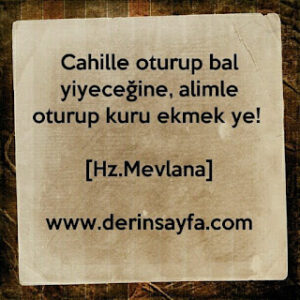 Cahille oturup bal yiyeceğine, alimle oturup kuru ekmek ye! Hz.Mevlana