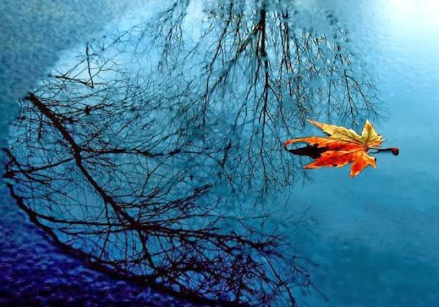 Düşmekte vardır vakti gelince,
Takvimden…
Kaderden…
Gönülden…