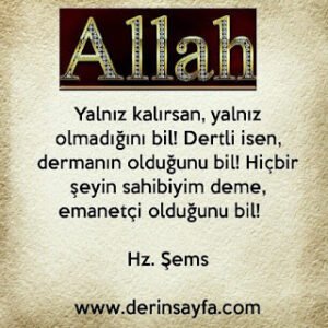 Yalnız Kalırsan , Yalnız Olmadığını Bil ! Dertli İsen , Dermanın Olduğunu Bil !