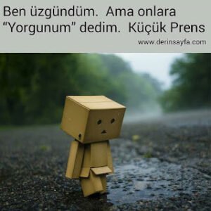 Ben üzgündüm. Ama onlara “Yorgunum” dedim.  Küçük Prens