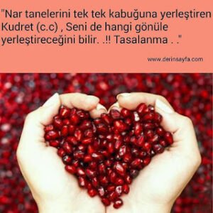 “Nar tanelerini tek tek kabuğuna yerleştiren Kudret (c.c) , Seni de hangi gönüle yerleştireceğini bilir. .!! Tasalanma . .”