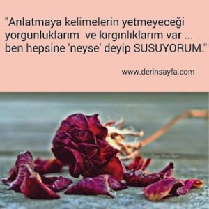 “Anlatmaya kelimelerin yetmeyeceği yorgunluklarım ve kırgınlıklarım var … ben hepsine ‘neyse’ deyip SUSUYORUM.”