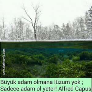 Büyük adam olmana lüzum yok ; Sadece adam ol yeter!  Alfred Capus.