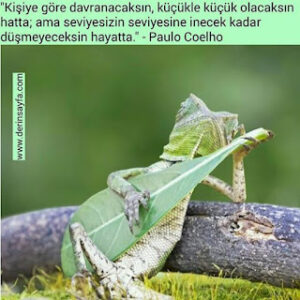 “Kişiye göre davranacaksın, küçükle küçük olacaksın hatta; ama seviyesizin seviyesine inecek kadar..” – Paulo Coelho