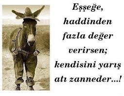 Eşeğe Haddinden Fazla Değer Verirsen Kendini Yarış Atı zanneder. . . !