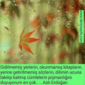 Gidilmemiş yerlerin, okunmamış kitapların, yerine getirilmemiş sözlerin, dilimin ucuna takılıp kalmış.. Aslı Erdoğan