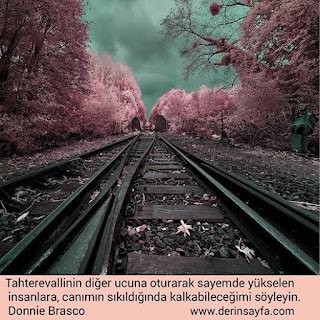 Tahterevallinin diğer ucuna oturarak sayemde yükselen insanlara, canımın sıkıldığında kalkabileceğimi söyleyin. Donnie Brasco