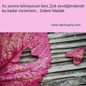 Az sevme bilmiyorum ben, Çok sevdiğimdendir bu kadar incinmem.. Didem Madak