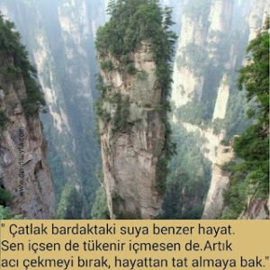 “Çatlak bardaktaki suya benzer hayat. Sen içsen de tükenir içmesen de.Artık acı çekmeyi bırak, hayattan tat almaya bak.”