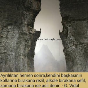Ayrılıktan hemen sonra, kendini başkasının kollarına bırakana rezil, alkole bırakana sefil.. – G. Vidal