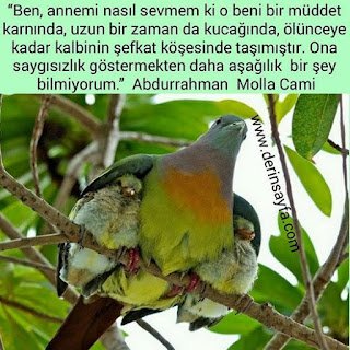 Ben, annemi nasıl sevmem ki o beni bir müddet karnında, uzun bir zaman da kucağında.. Abdurrahman Molla Cami