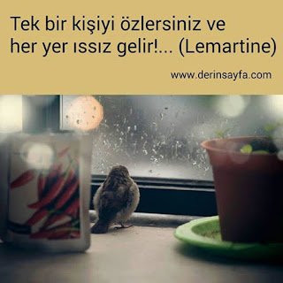 Tek bir kişiyi özlersiniz ve her yerıssız gelir!… (Lemartine)