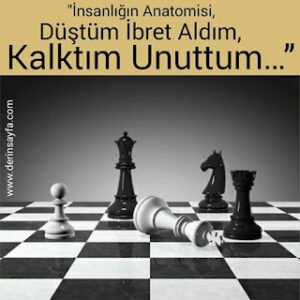 “İnsanlığın Anatomisi; Düştüm ibret aldım, kalktım unuttum…”