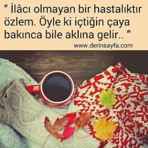 “İlâcı olmayan bir hastalıktır özlem.Öyle ki içtiğin çaya bakınca bile gelir aklına. . .”