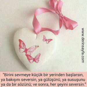 Birini sevmeye küçük bir yerinden başlarsın, ya bakışını seversin, ya gülüşünü, ya susuşunu ya da bir sözünü.. Nafer Ermiş