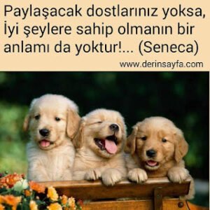 Paylaşacak dostlarınız yoksa,İyi şeylere sahip olmanın bir anlamı dayoktur!… Seneca