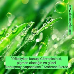 “Öfkeliyken konuş! Göreceksin ki, pişman olacağın en güzel konuşmayı yapacaksın.” Ambrose Bierce