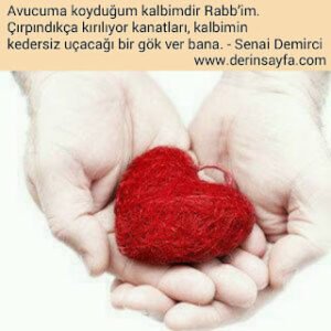 Avucuma koyduğum kalbimdir Rabb’im. Çırpındıkça kırılıyor kanatları, kalbimin kedersiz uçacağı bir gök ver bana.  – Senai Demirci
