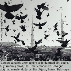 Belki gün doğmadan neler doğardı.. Nar Ağacı