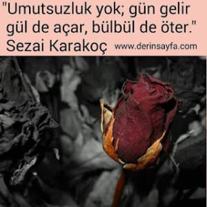 “Umutsuzluk yok; gün gelir gül de açar, bülbül de öter.”  Sezai Karakoç