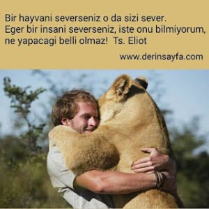 Bir hayvanı severseniz o da sizi sever. Eğer bir insanı severseniz, işte onu bilmiyorum, ne yapacaği belli olmaz! Ts. Eliot