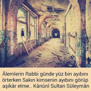 Alemlerin Rabbi günde yüz bin ayıbını örterken, Sakın kimsenin ayıbını görüp aşikâr etme. Kânûnî Sultan Süleyman