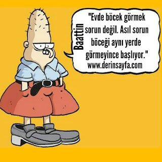 “Evde böcek görmek sorun değil. Asıl sorun böceği aynı yerde görmeyince başlıyor.”