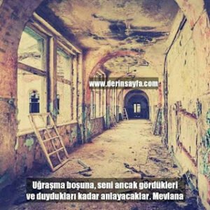 Uğraşma boşuna, seni ancak gördükleri ve duydukları kadar anlayacaklar. Mevlana