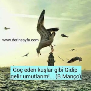 Göç eden kuşlar gibi Gidip gelir umutlarım!… (B.Manço)