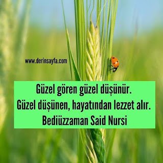 Güzel gören güzel düşünür. Güzel düşünen, hayatından lezzet alır. – Bediüzzaman Said Nursi