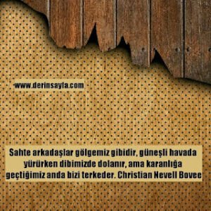 Sahte arkadaşlar gölgemiz gibidir, güneşli havada yürürken dibimizde dolanır, ama karanlığa geçtiğimiz..  Christian Nevell Bovee