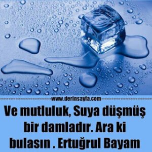 Ve mutluluk, Suya düşmüş bir damladır. Ara ki bulasın. Ertuğrul Bayam