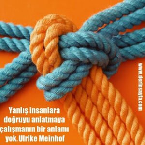 Yanlış insanlara doğruyu anlatmaya çalışmanın bir anlamı yok. – Ulrike Meinhof