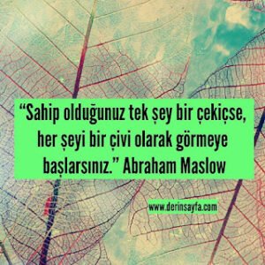 Sahip olduğunuz tek şey bir çekiçse, her şeyi bir çivi olarak görmeye başlarsınız. Abraham Maslow
