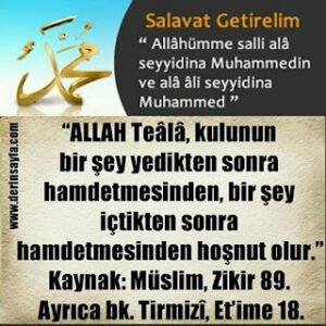 “ALLAH Teâlâ, kulunun bir şey yedikten sonra hamdetmesinden, bir şey içtikten sonra hamdetmesinden hoşnut olur.”