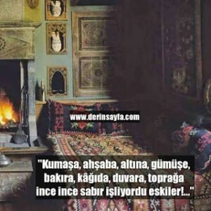 “Kumaşa, ahşaba, altına, gümüşe, bakıra, kâğıda, duvara, toprağa ince ince sabır işliyordu eskiler!…”