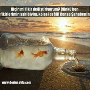 Niçin mi fikir değiştiriyorum? Çünkü ben fikirlerimin sahibiyim; kölesi değil! – Cenap Şahabettin