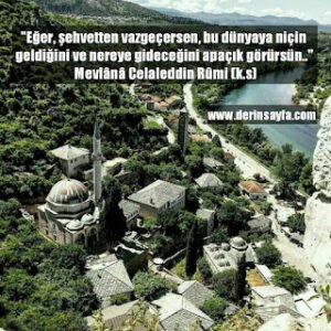 Eğer, şehvetten vazgeçersen, bu dünyaya niçin geldiğini ve nereye gideceğini apaçık görürsün.. Mevlana