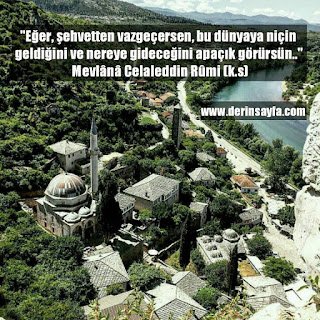 Eğer, şehvetten vazgeçersen, bu dünyaya niçin geldiğini ve nereye gideceğini apaçık görürsün.. Mevlana